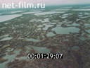 Regional economy (Movie 1, West Siberian complex)