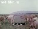 Кадр видео