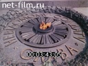 Footage frame