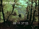 Footage frame