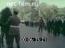 Кадр видео