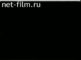 Newsreel Daily News / A Chronicle of the day №23-1978 (1978)