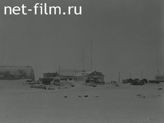 Newsreel Daily News / A Chronicle of the day №19-1978 (1978)