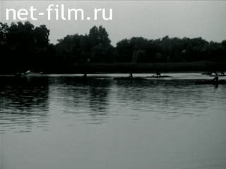 News Foreign newsreels №3132-1986 (1972)