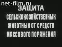 Защита сельскохозяйственных животных от средств массового поражения