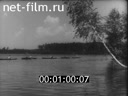 Кадр видео