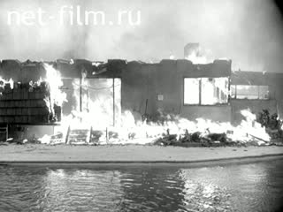 News Foreign newsreels №520 (1960)