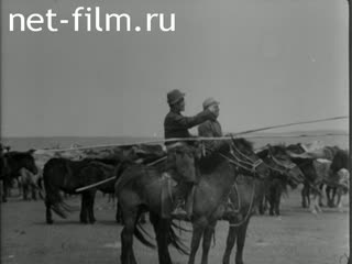 News Foreign newsreels №4974 (1976)