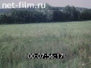 Footage frame