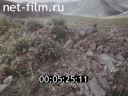 Кадр видео