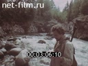 Кадр видео