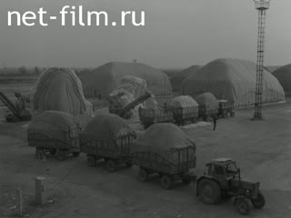 Newsreel Daily News / A Chronicle of the day №4-1986 At the pre-Congress watch. According to your order. Again, these sounds worried. (1986)