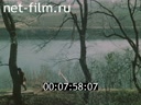 Footage frame