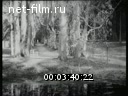 Footage frame