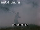 Кадр видео