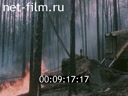 Кадр видео