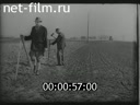 Foreign newsreels №4486