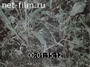 Footage frame