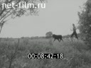 Footage frame