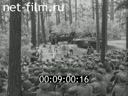 Кадр видео