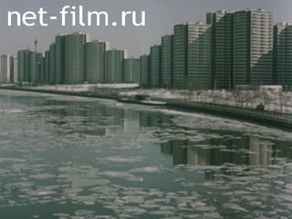 Movie Moscow family: a short story. (1987)