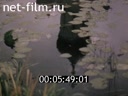 Footage frame