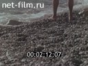 Кадр видео