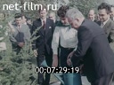 Кадр видео