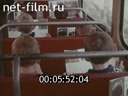 Footage frame