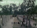 Кадр видео