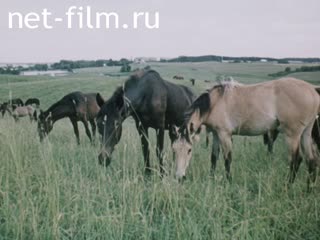 Movie Lithuanian Sydrome. (1990)