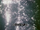 Footage frame