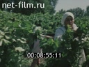 Footage frame