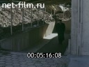 Кадр видео