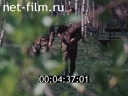 Footage frame