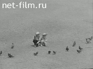 Новости Зарубежные киносюжеты №3548 (1973)