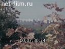 Кадр видео