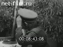 Кадр видео