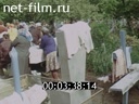 Кадр видео