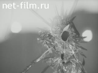 News Foreign newsreels №3465 (1973)