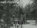 Footage frame