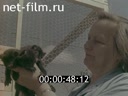 Кадр видео