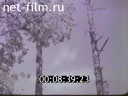 Footage frame