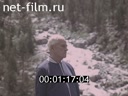 Кадр видео