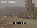 Кадр видео