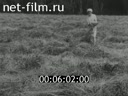 Feed under the film