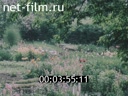 Footage frame