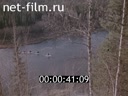 Кадр видео