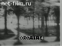 Footage frame