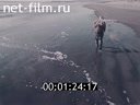 Кадр видео